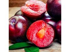 Шарафуга  Вельвет Санрайз